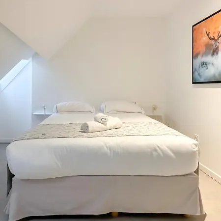 Atypique Sous Chateau Vieille Ac Апартаменты